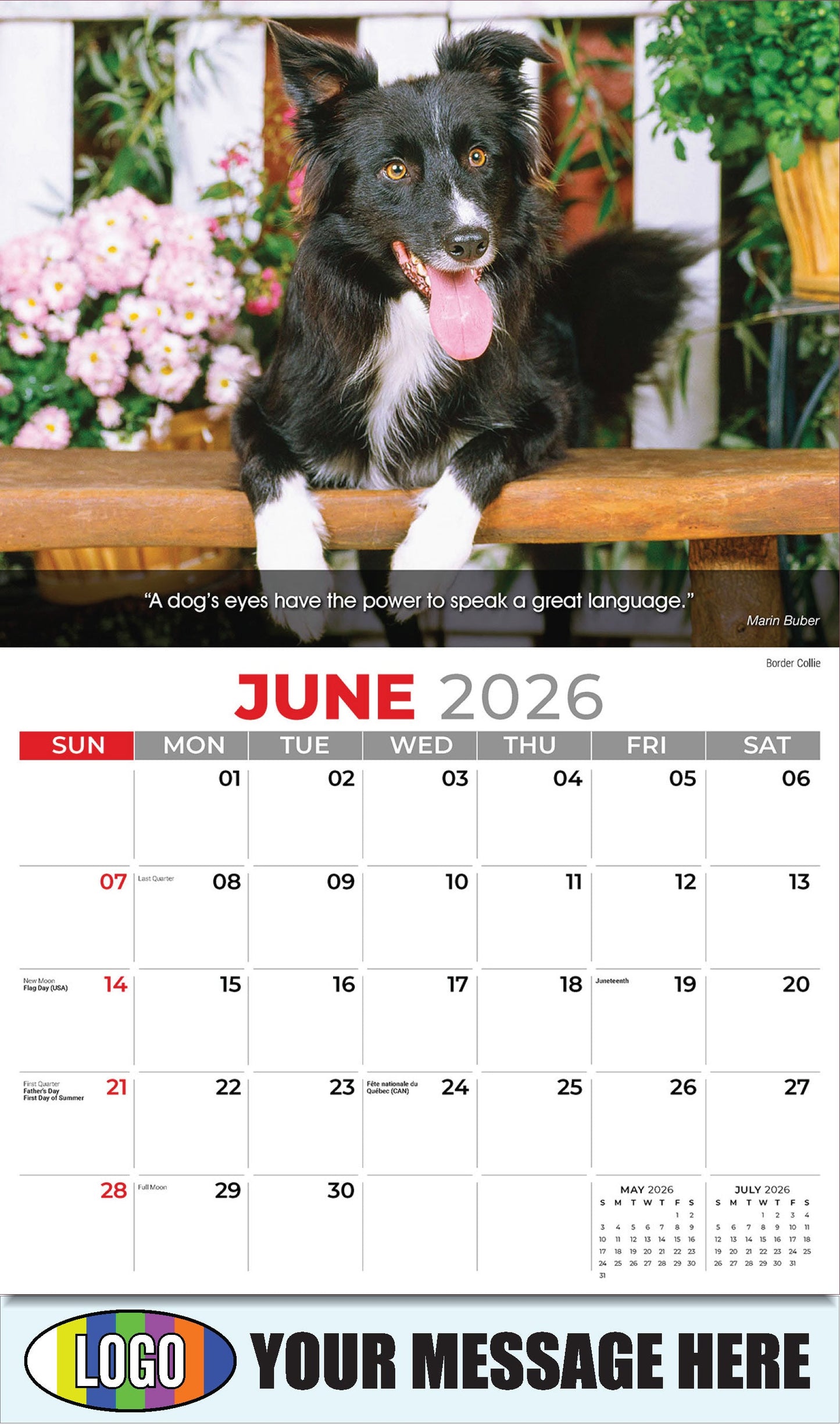 2026 Business Advertising Calendar - Dogs - June - Border Collie