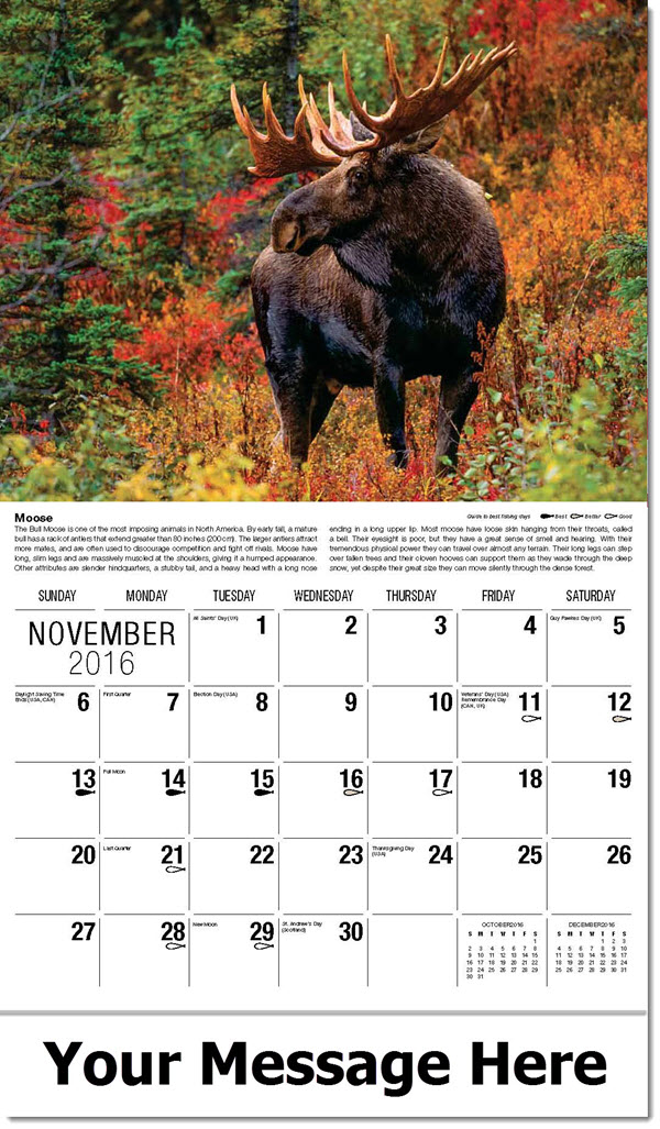 Wildlife Calendars Personalized North American Wildlife Calendar