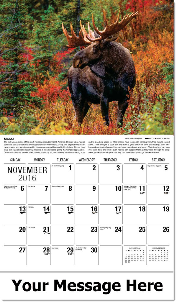 Wildlife Calendars Personalized North American Wildlife Calendar Wildlife Calendars Personalized North American Wildlife Calendar