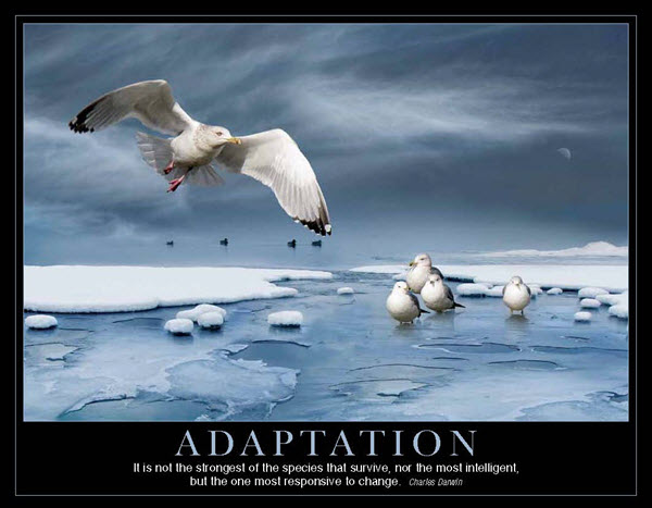 Motivation - 2016 Promotional CalendarJanuary 2016 - SeagullsCharles ... Motivation - 2016 Promotional CalendarJanuary 2016 - SeagullsCharles ...