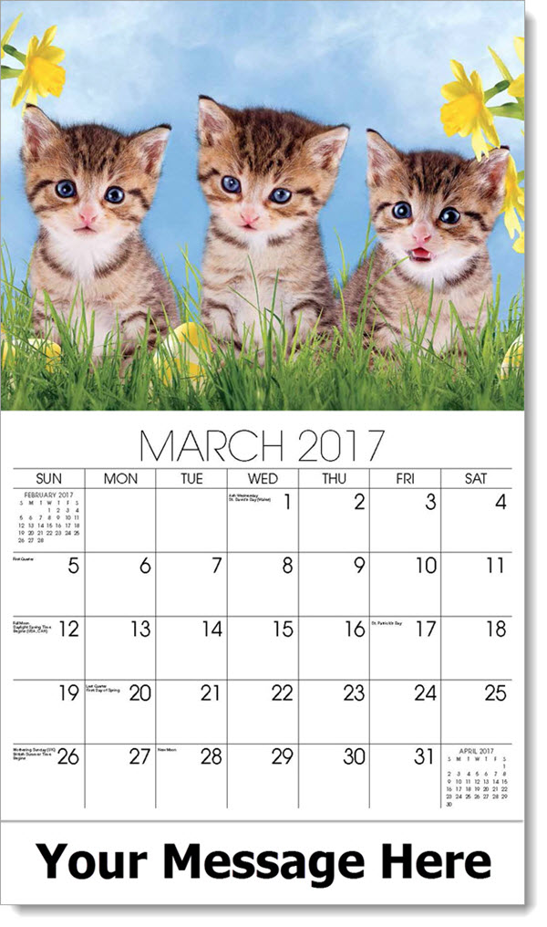 Kitty Calendar | Kittens Calendar | Cat Calendar | Promo Calendar