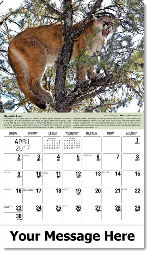 Wildlife Calendars Personalized North American Wildlife Calendar