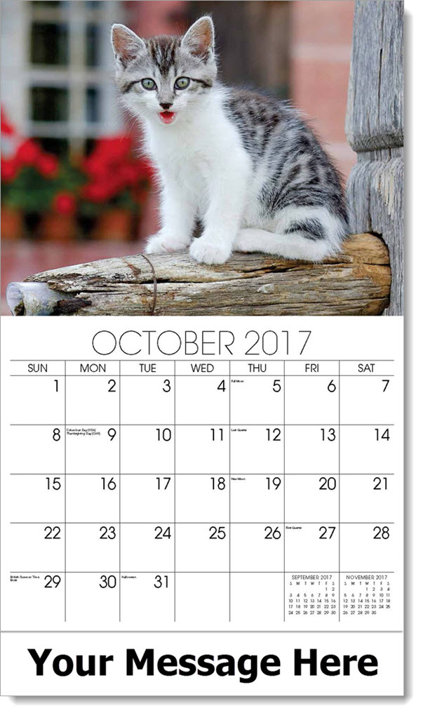 kitty calendar kittens calendar cat calendar promo sample calendars to print