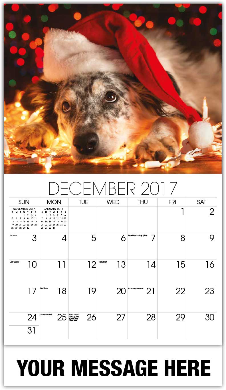 Mixed Breed Dog Calendars Mixed Breed Dog Calendars