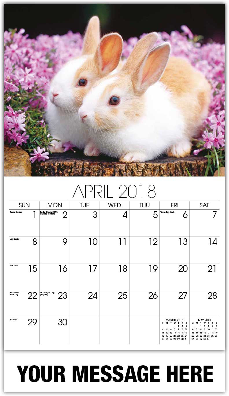 new year 2018 animal rabbit household pets and animals calendar 65 162 promotional new year 2018 animal rabbit household pets and animals calendar 65 162 promotional