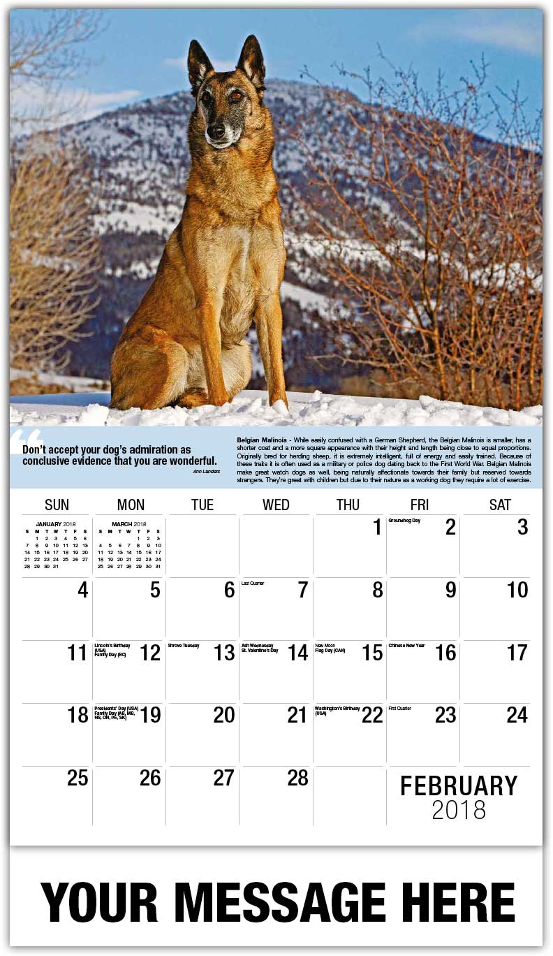 Dogs Calendar "Man's Best Friend" 65¢ Advertising Calendars
