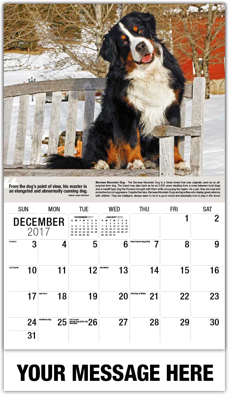 november dog calendar
