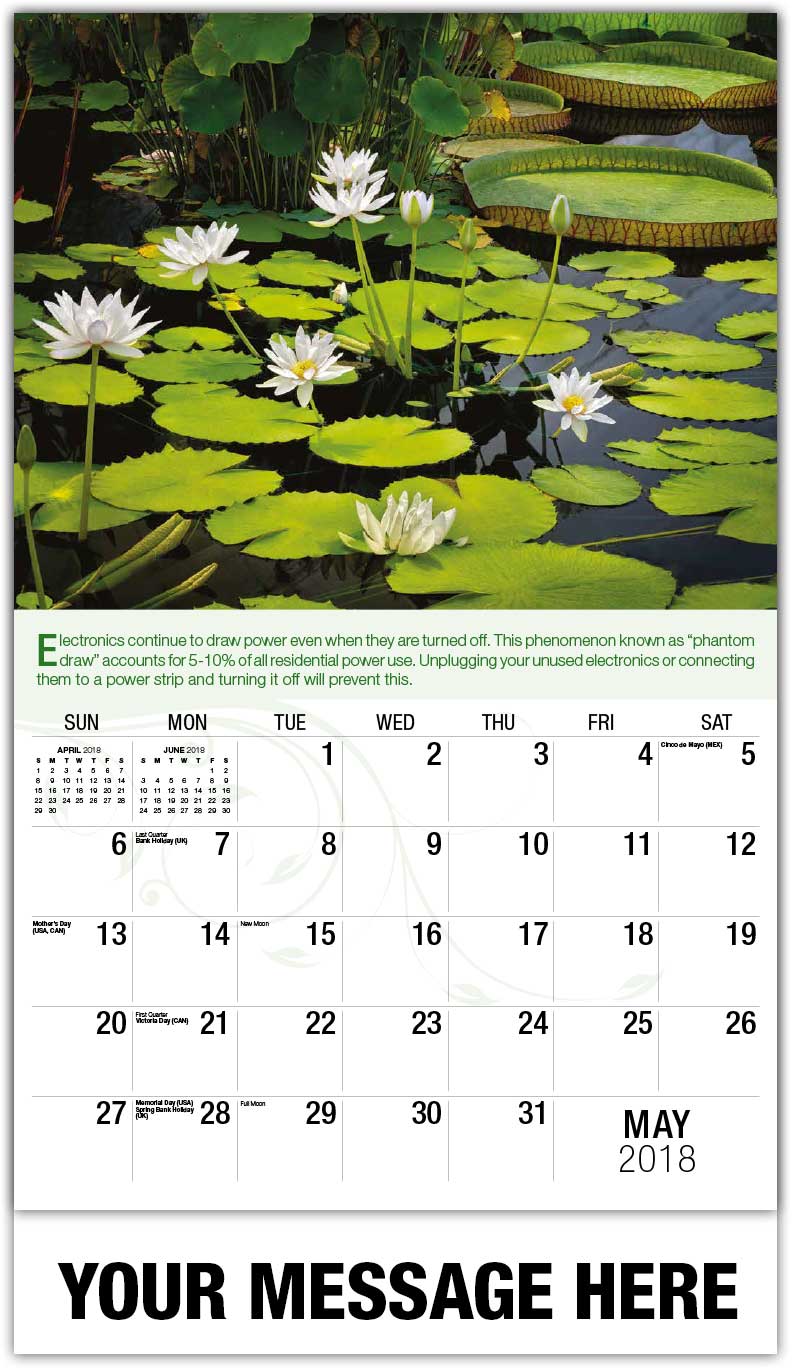 Go Green Environmental Awareness Calendar 65¢ Business Advertising