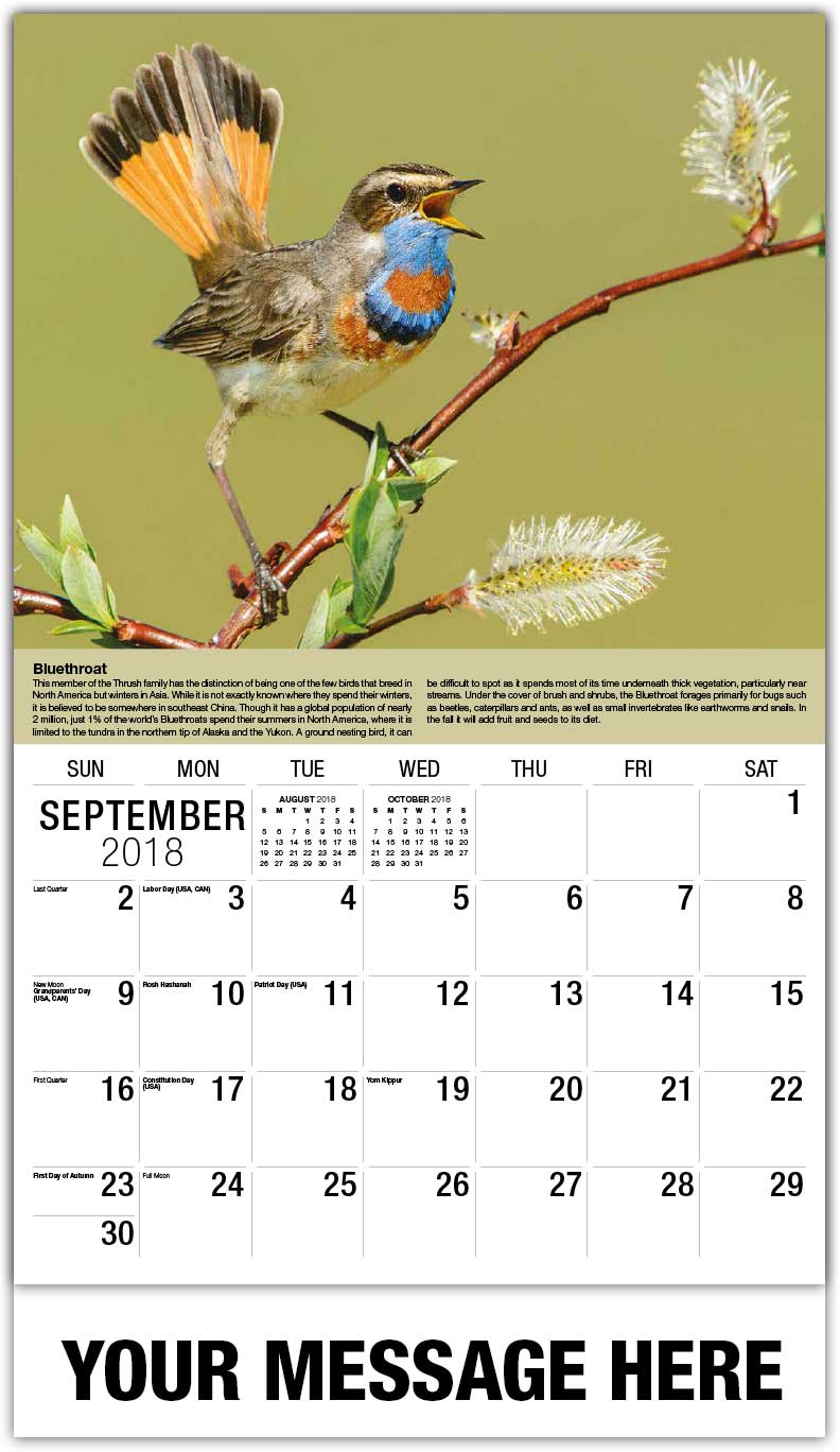 Bird kingdom coupon 2018