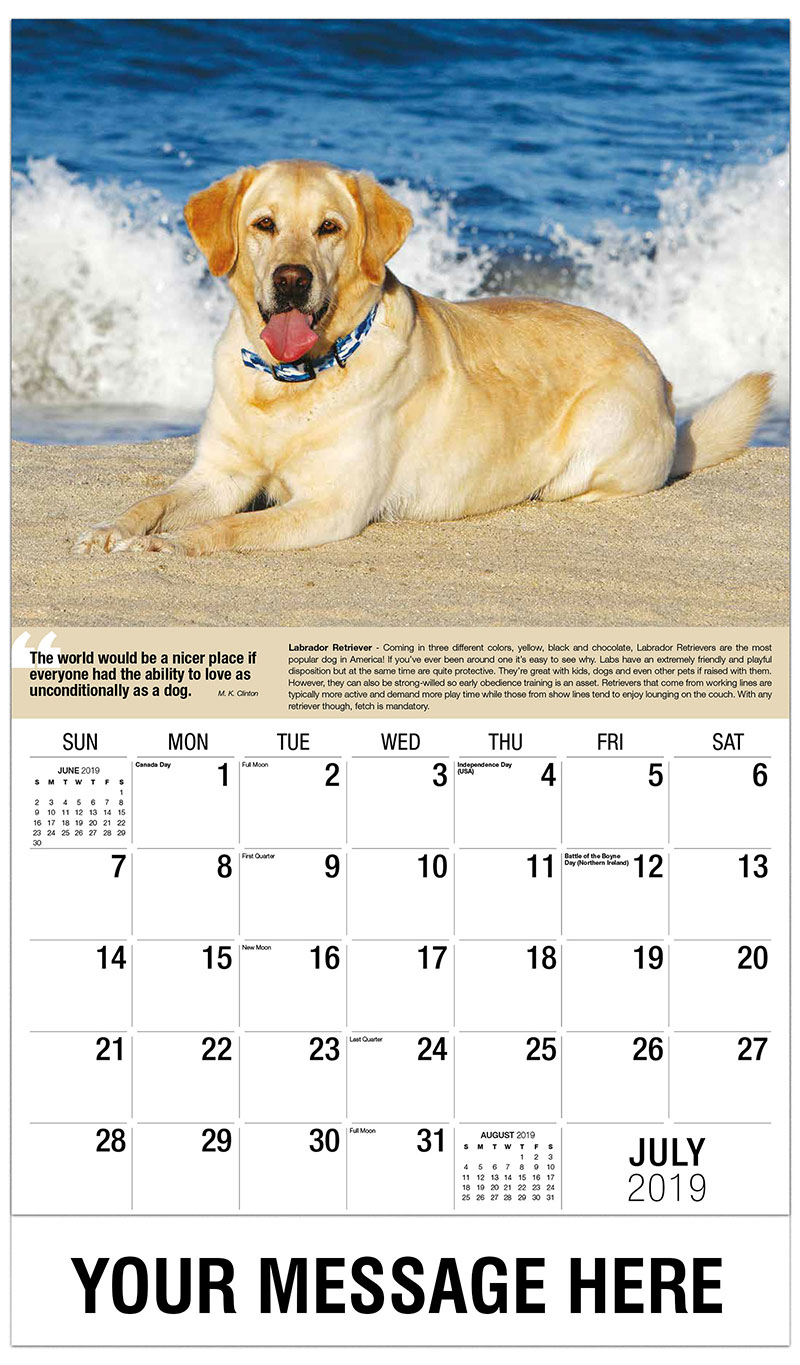 What Are The Three Most Popular Dog Breeds In America What Are The Three Most Popular Dog Breeds In America