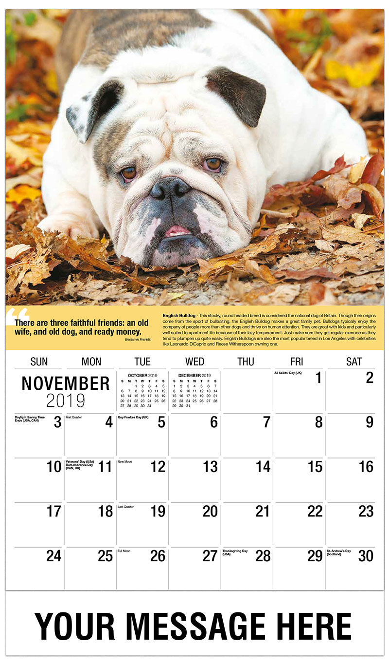 november dog calendar