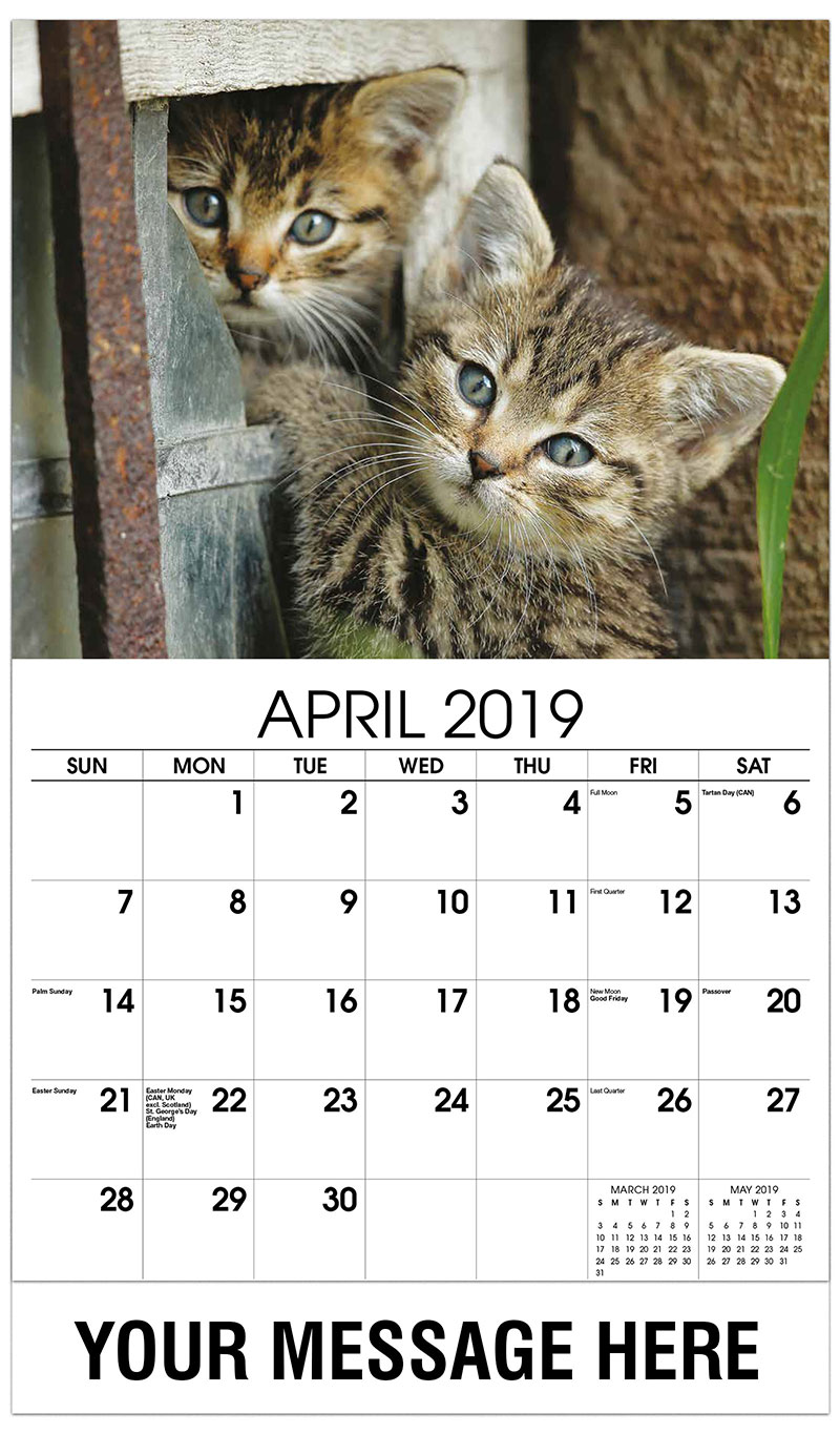 Applebees coupons april 2019
