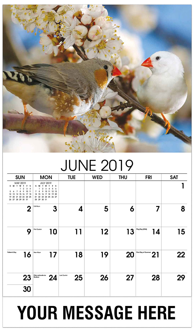 Fresh pet coupons 2019