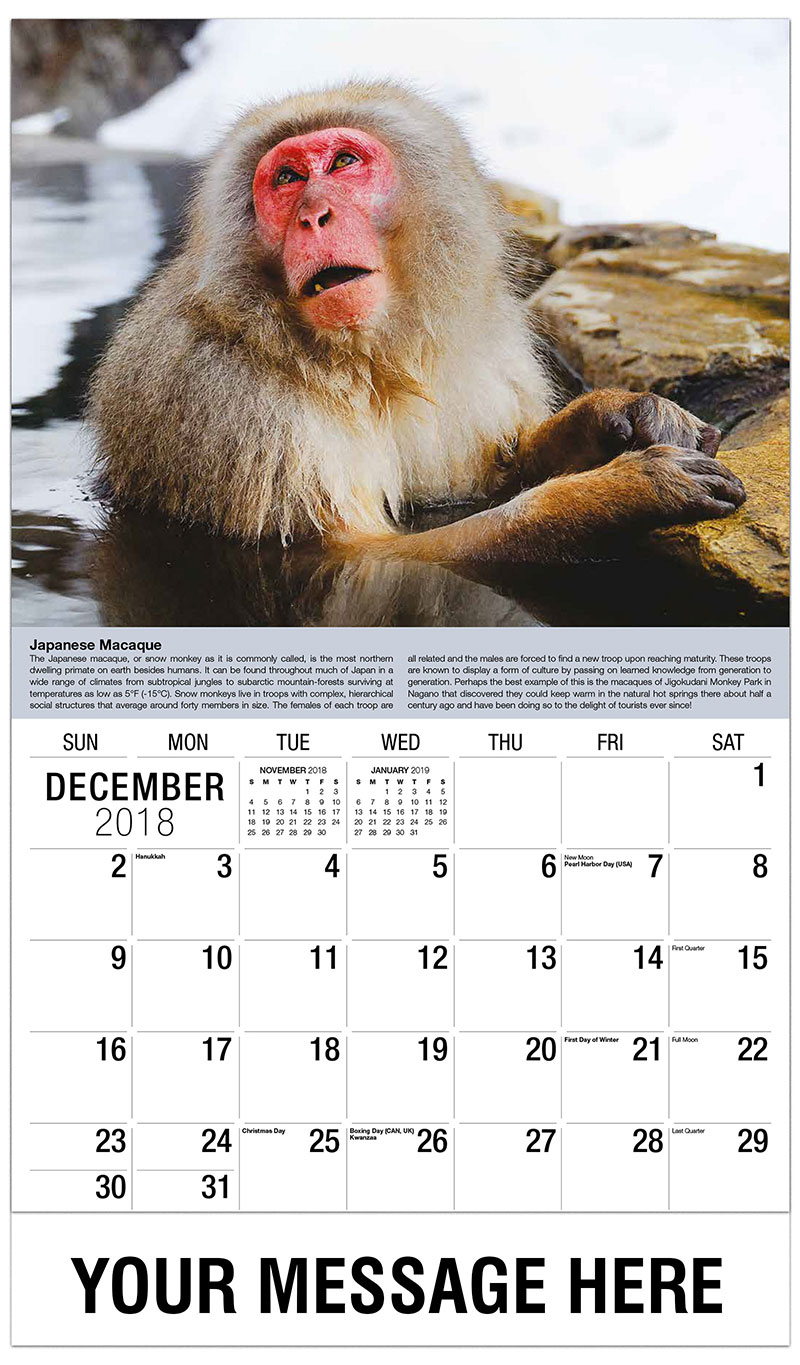 Featherdale wildlife park discount coupons 2019