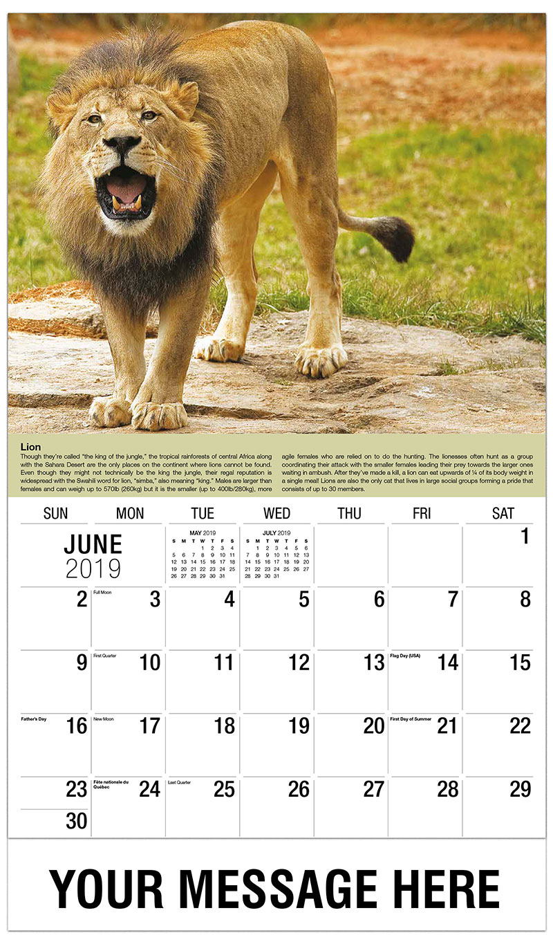 African lion safari discount coupons 2019