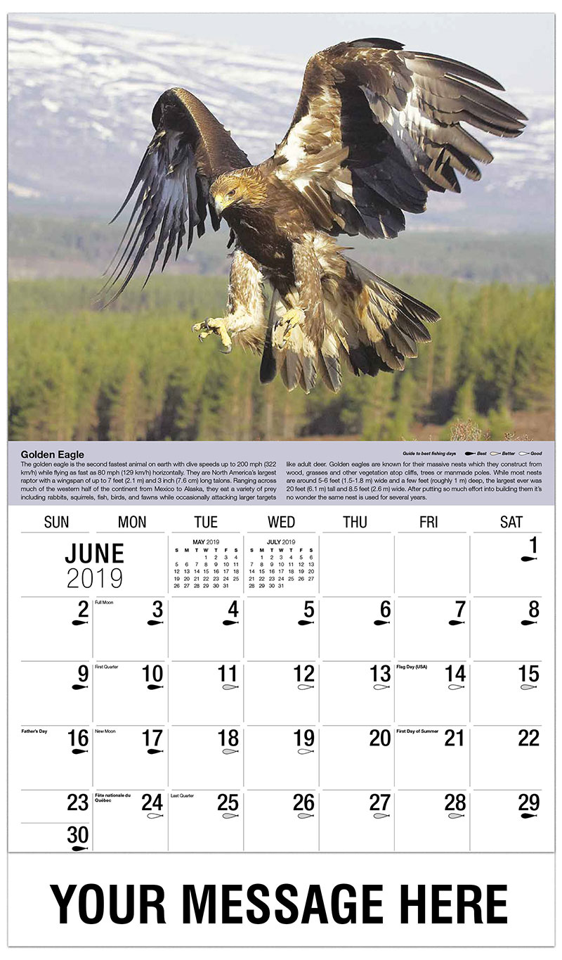 Alaska discount coupons 2019