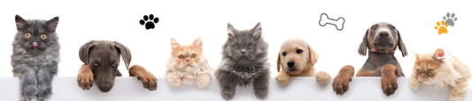 Your Customers Aren't Scrolling for Pets: They're Hanging Them on the Wall