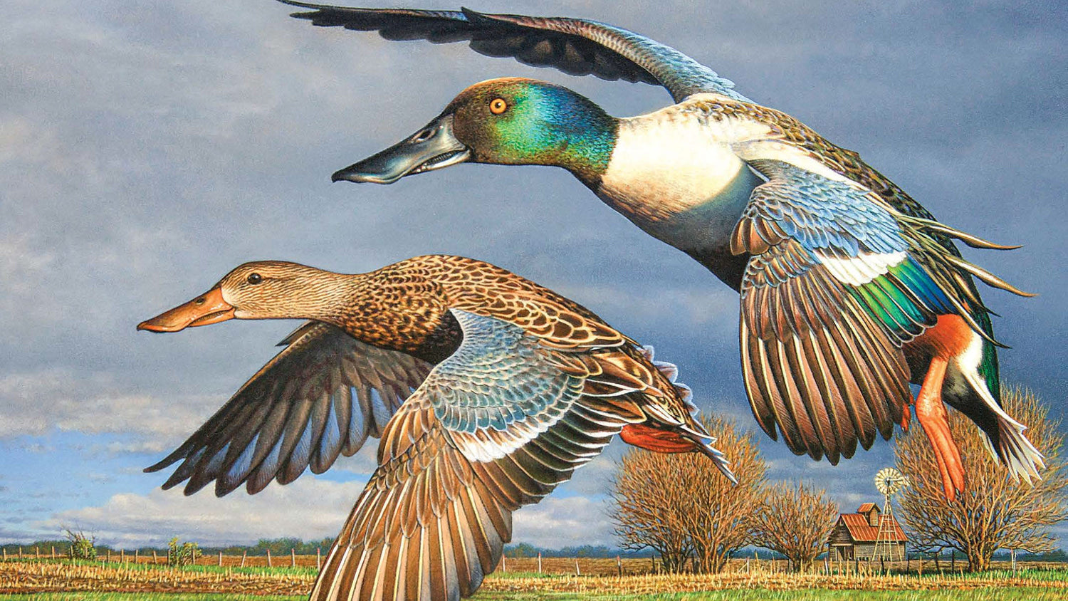 Wildlife Art Calendars | American Wildlife Calendars