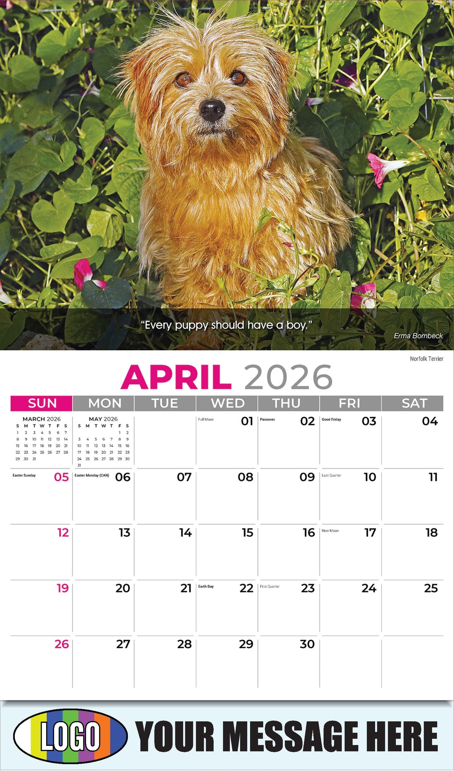 2026 Business Advertising Calendar - Dogs - April - Norfolk Terrier