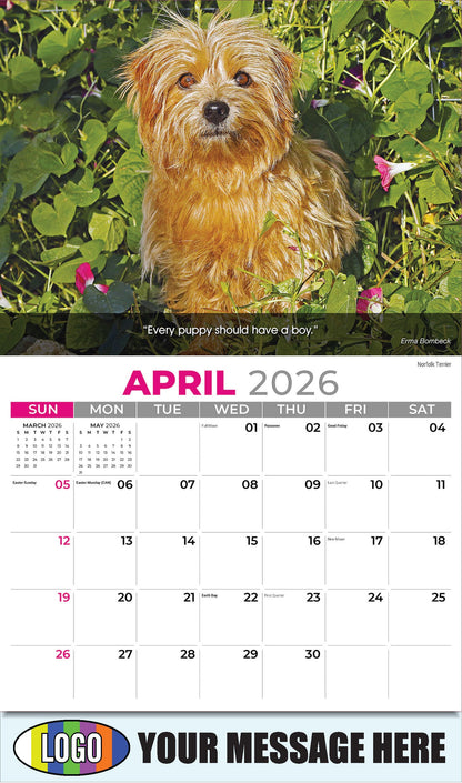 2026 Business Advertising Calendar - Dogs - April - Norfolk Terrier