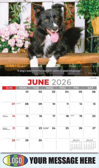2026 Business Advertising Calendar - Dogs - June - Border Collie