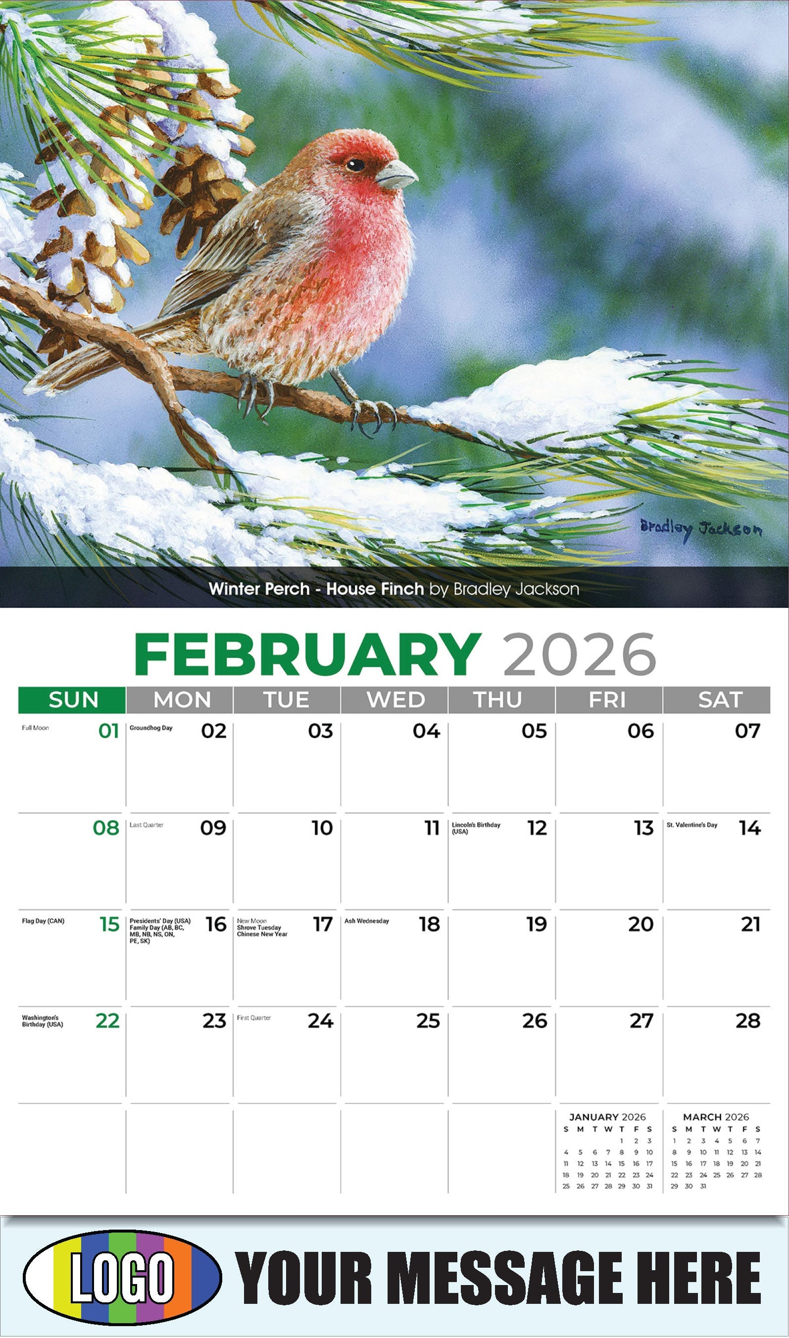 2026 Business Promotional Calendar - Garden Birds - Winter Perch - House Finch by Bradley Jackson - February