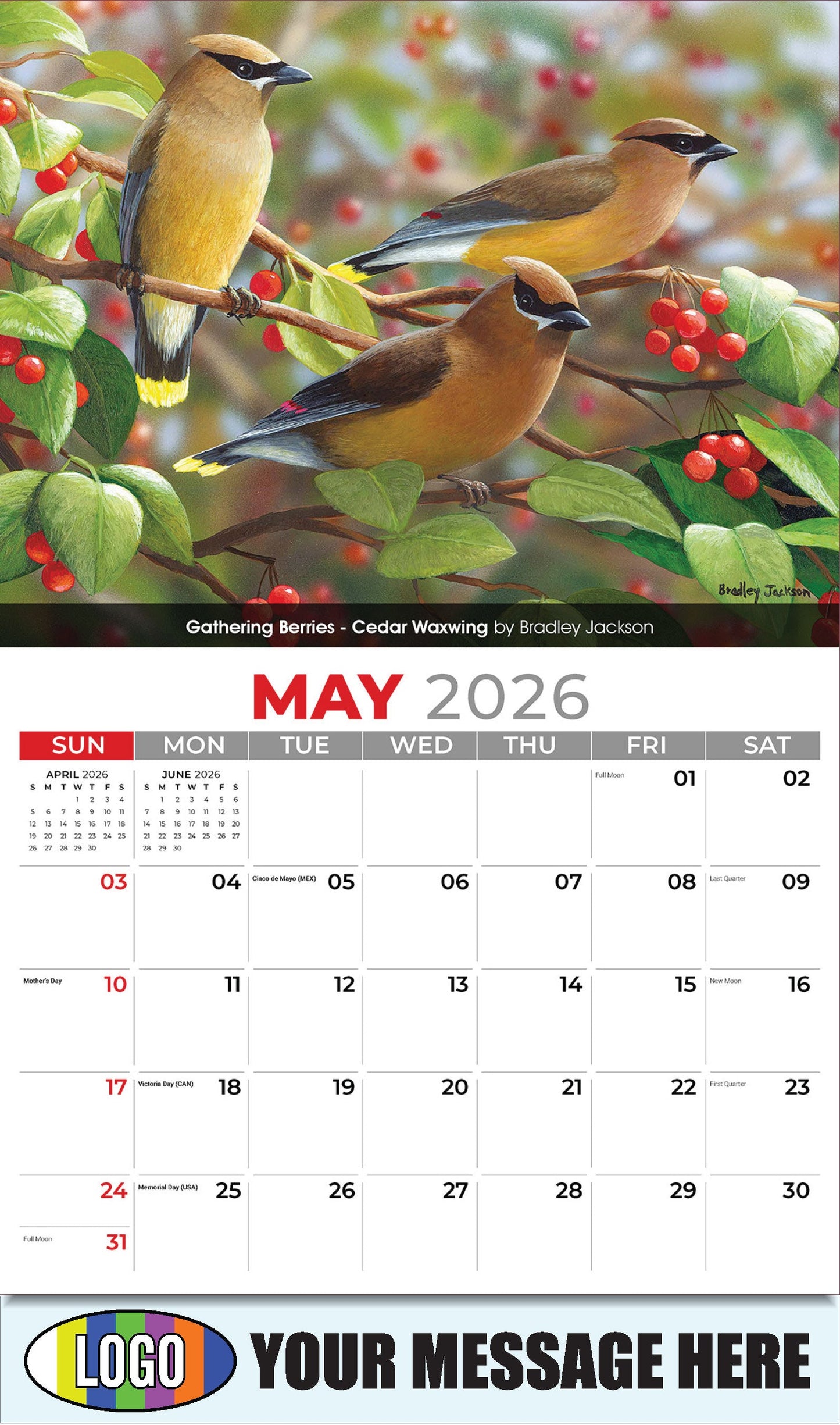 2026 Business Advertising Calendar - Garden Birds - Gathering Berries - Cedar Waxwing by Bradley Jackson - May
