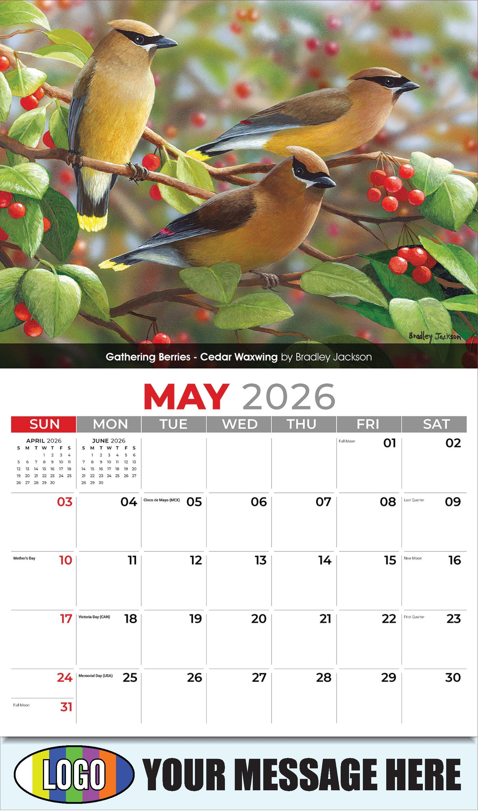2026 Business Advertising Calendar - Garden Birds - Gathering Berries - Cedar Waxwing by Bradley Jackson - May