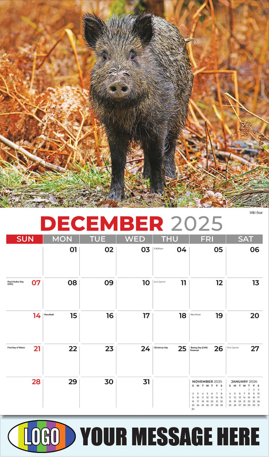 2026 Business Promotional Calendar - International Wildlife - Wild Boar - December_a
