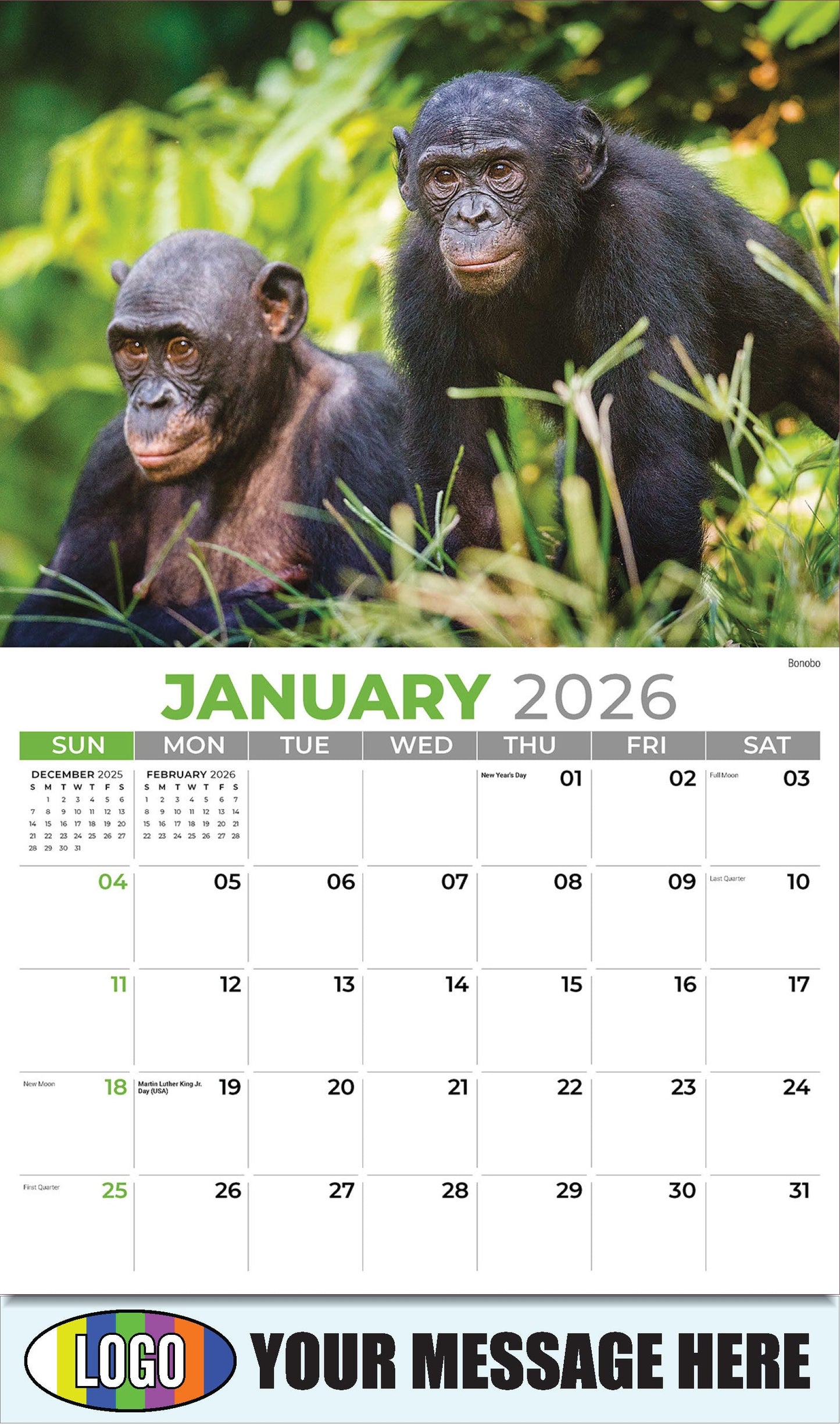 2026 Business Promotional Calendar - International Wildlife - Bonobo - January