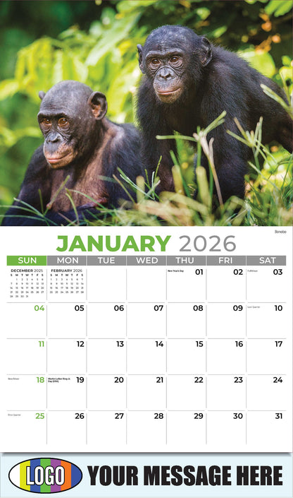 2026 Business Promotional Calendar - International Wildlife - Bonobo - January