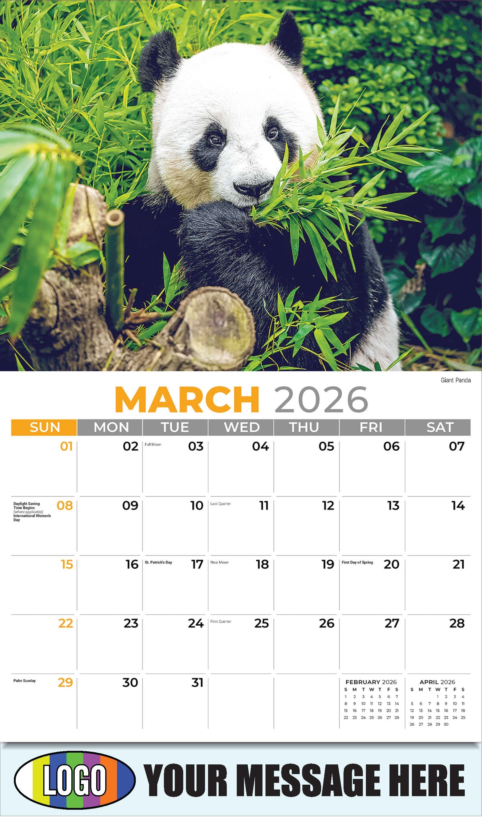 2026 Business Promotional Calendar - International Wildlife - Giant Panda - March