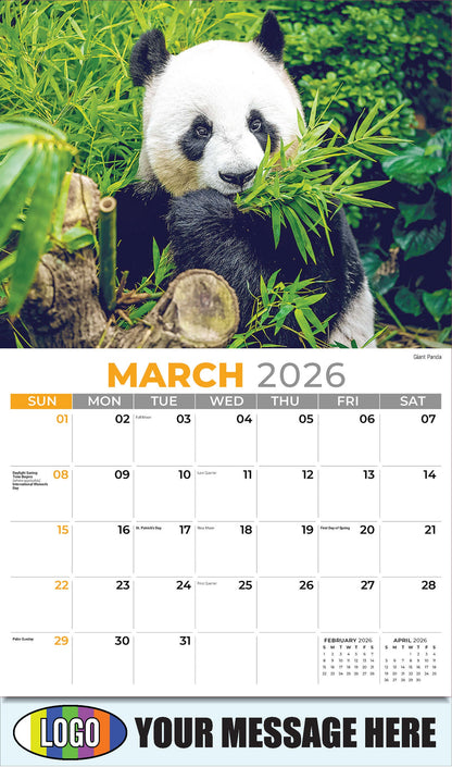 2026 Business Promotional Calendar - International Wildlife - Giant Panda - March