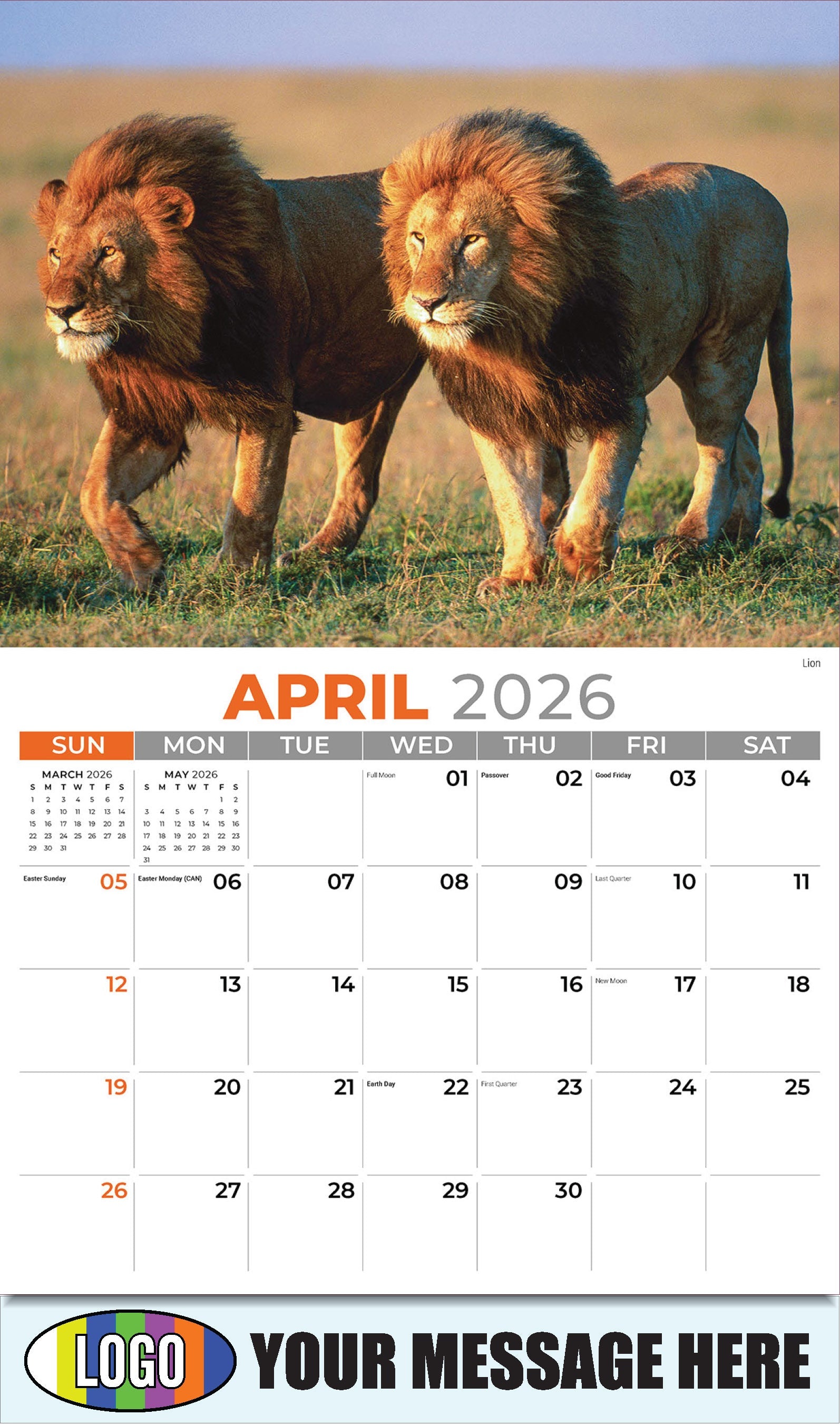 2026 Business Advertising Calendar - International Wildlife - Lion - April