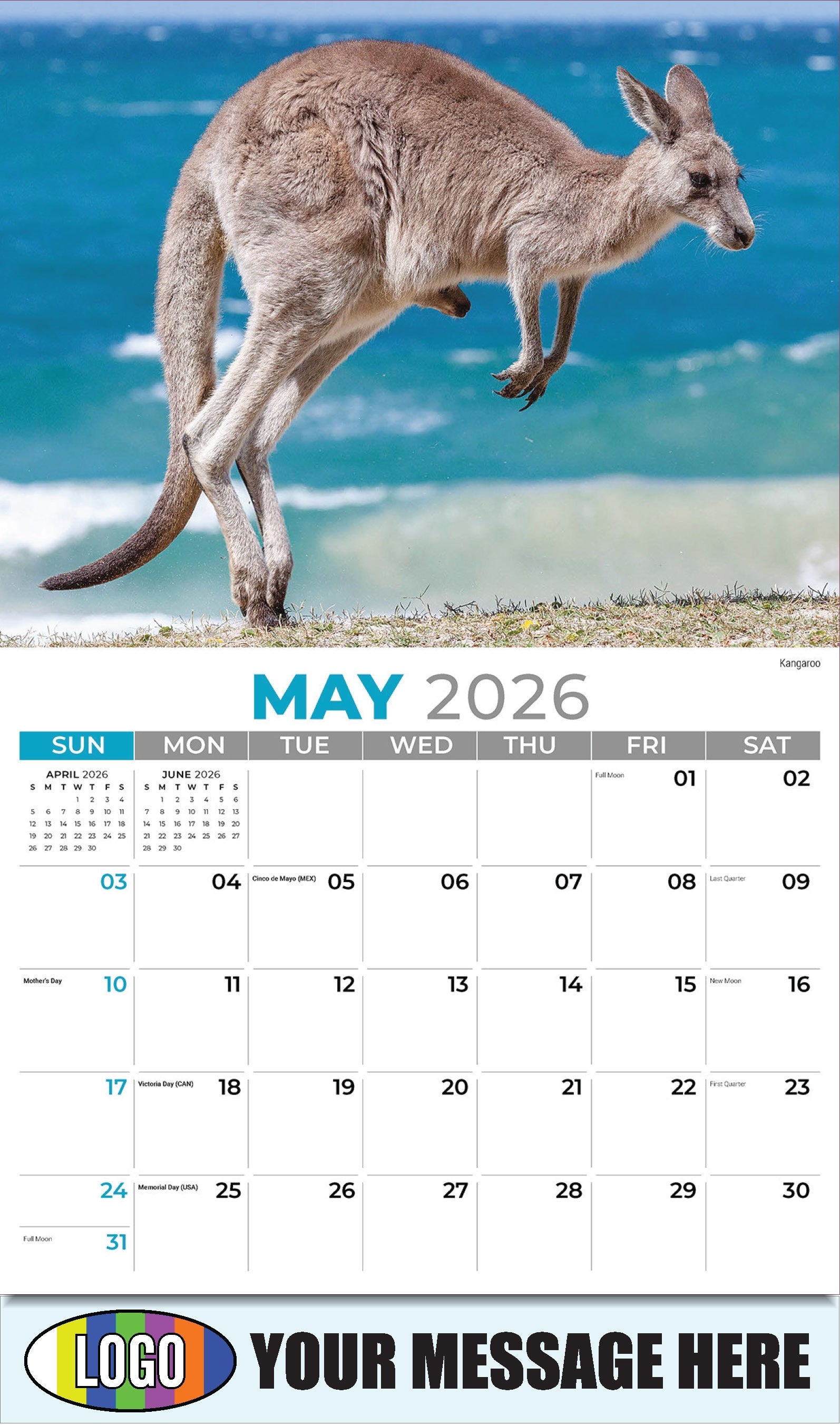 2026 Business Advertising Calendar - International Wildlife - Kangaroo - May