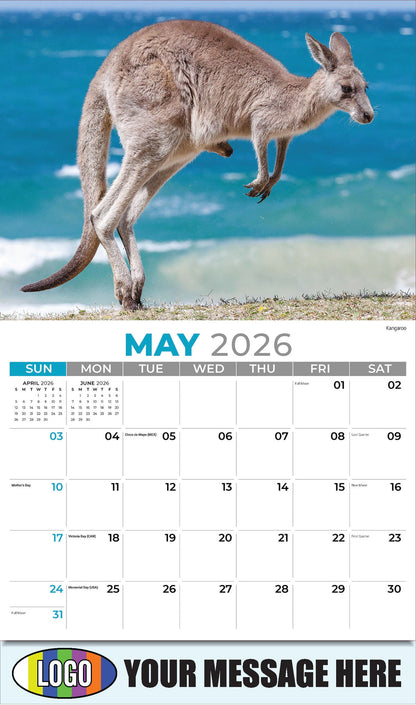 2026 Business Advertising Calendar - International Wildlife - Kangaroo - May