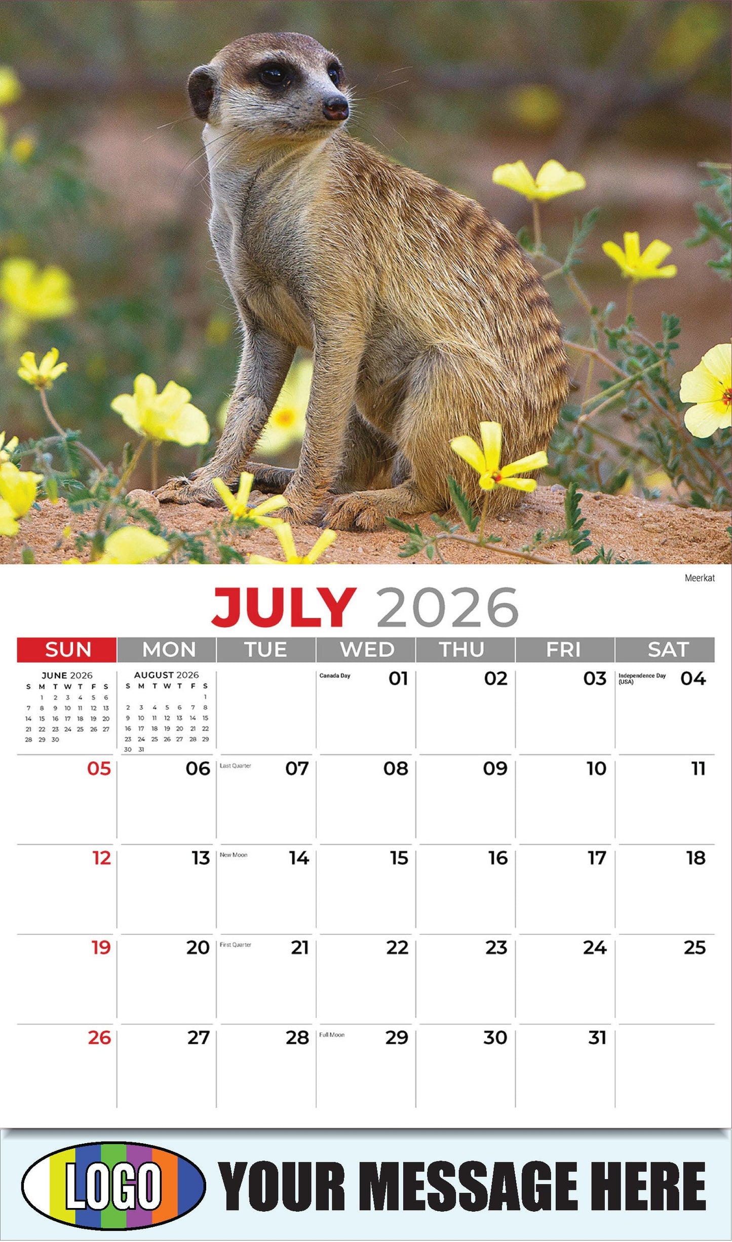2026 Business Promo Calendar - International Wildlife - Meerkat - July