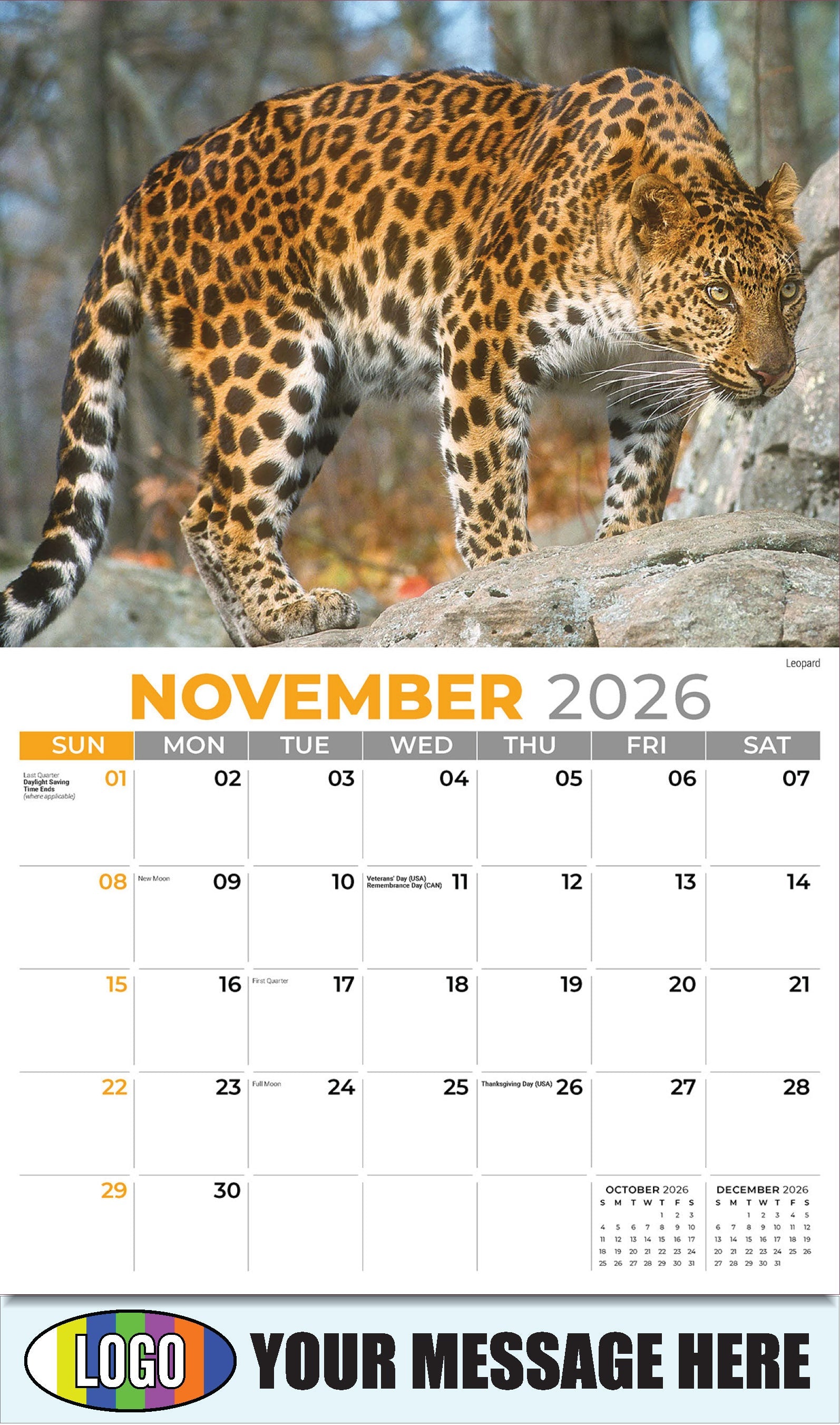 2026 Business Promotion Calendar - International Wildlife - Leopard - November