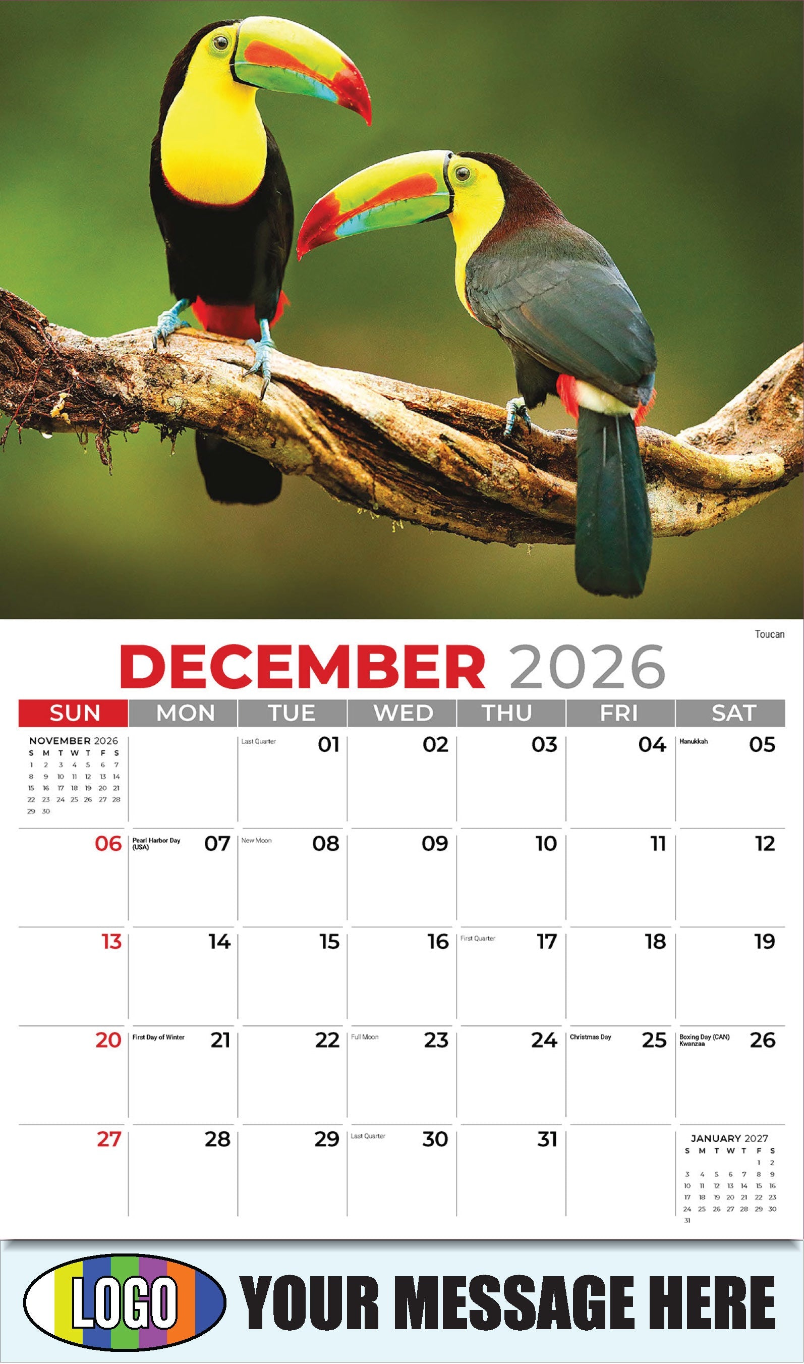 2026 Business Promotion Calendar - International Wildlife - Toucan - December