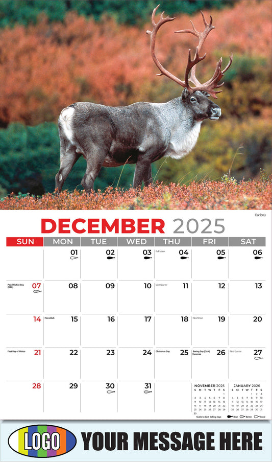 2026 Business Promotional Calendar - North American Wildlife - Caribou - December_a