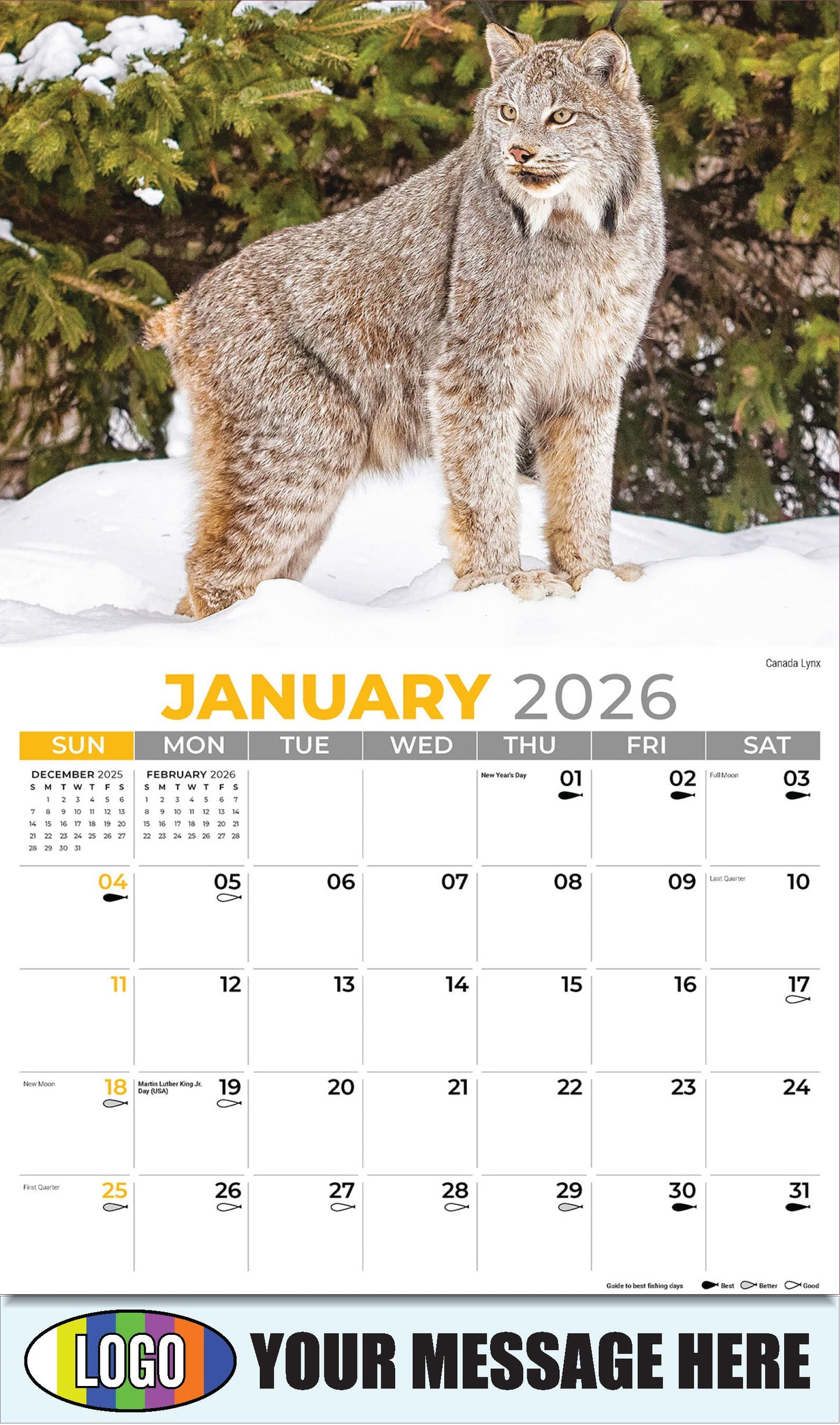 2026 Business Promotional Calendar - North American Wildlife - Canada Lynx - January