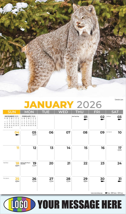 2026 Business Promotional Calendar - North American Wildlife - Canada Lynx - January