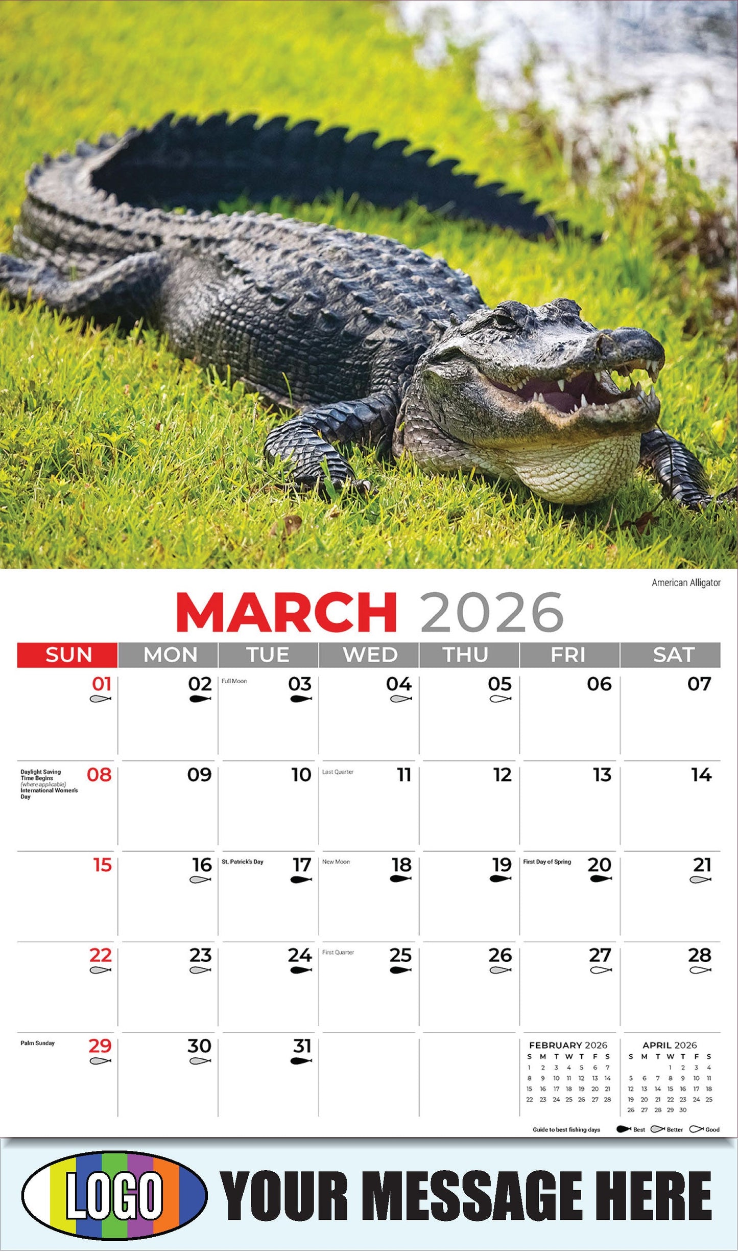 2026 Business Promotional Calendar - North American Wildlife - American Alligator - March