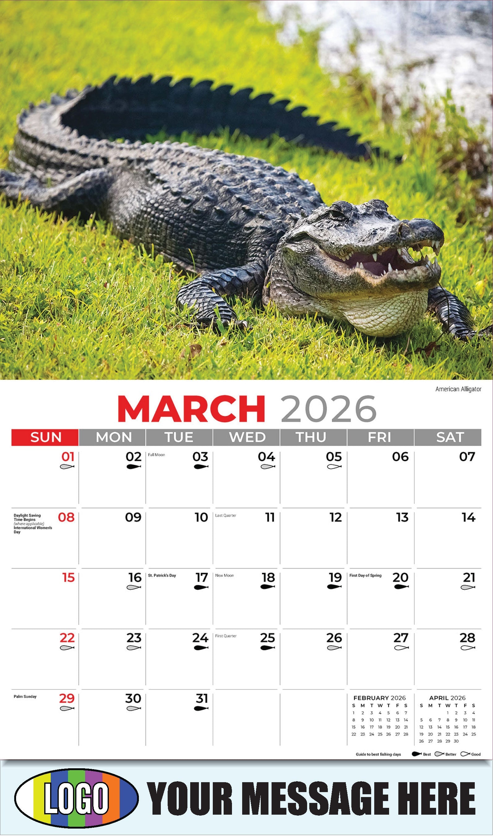 2026 Business Promotional Calendar - North American Wildlife - American Alligator - March