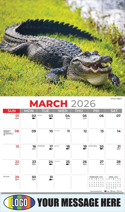 2026 Business Promotional Calendar - North American Wildlife - American Alligator - March
