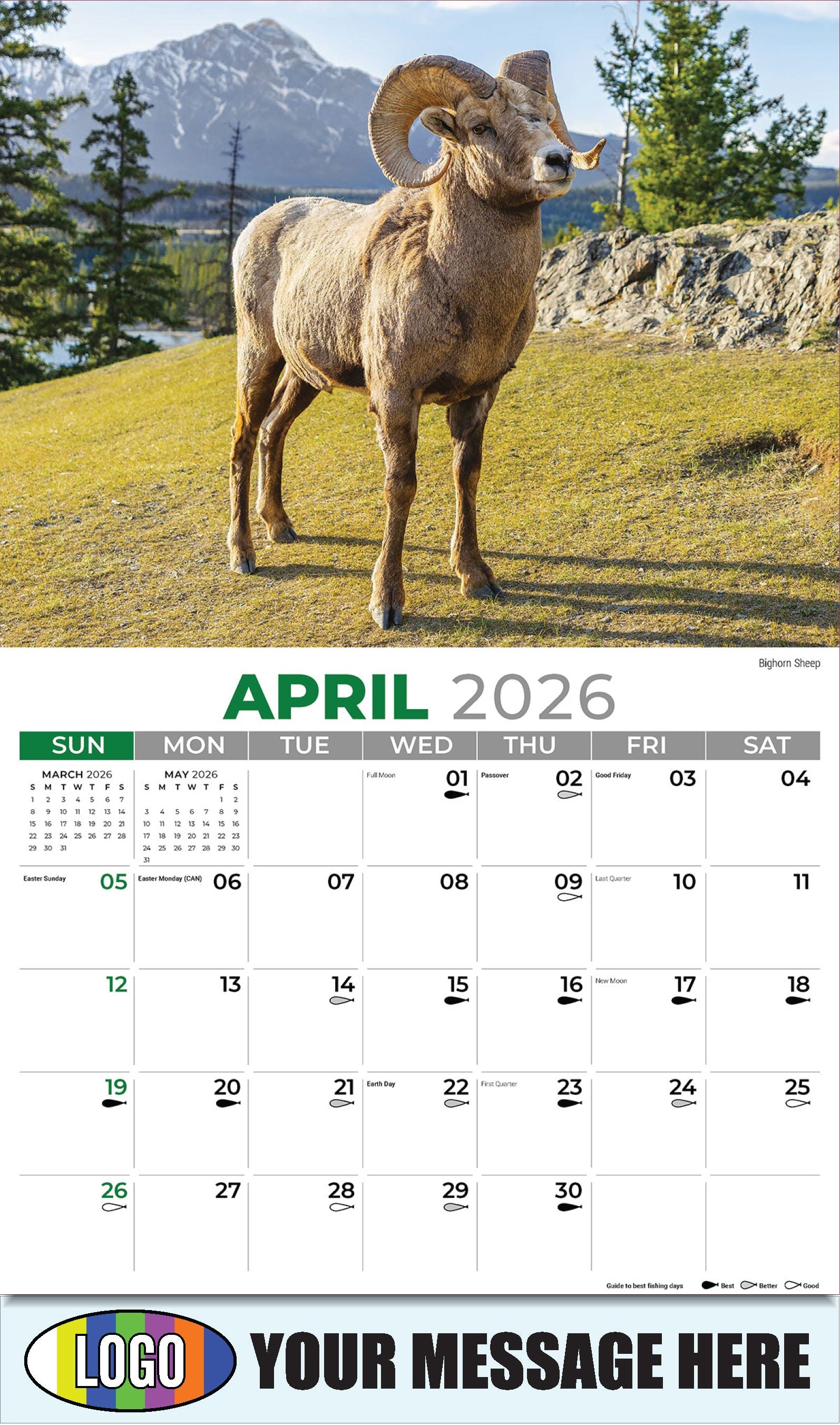 2026 Business Advertising Calendar - North American Wildlife -  Bighorn Sheep - April