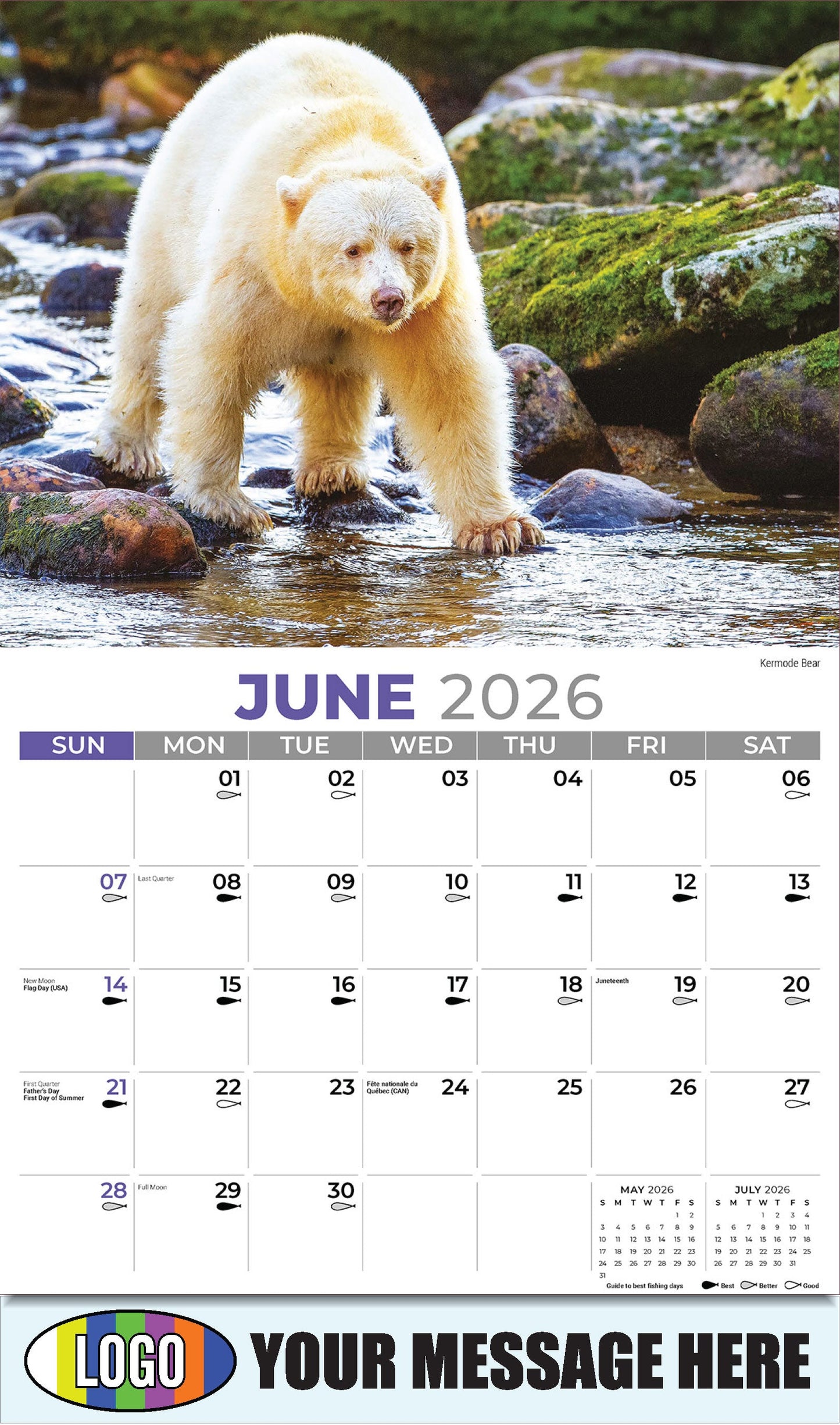 2026 Business Advertising Calendar - North American Wildlife - Kermode Bear - June