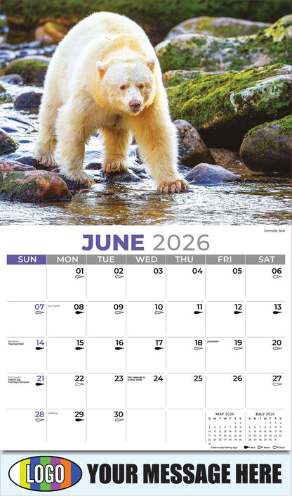 2026 Business Advertising Calendar - North American Wildlife - Kermode Bear - June