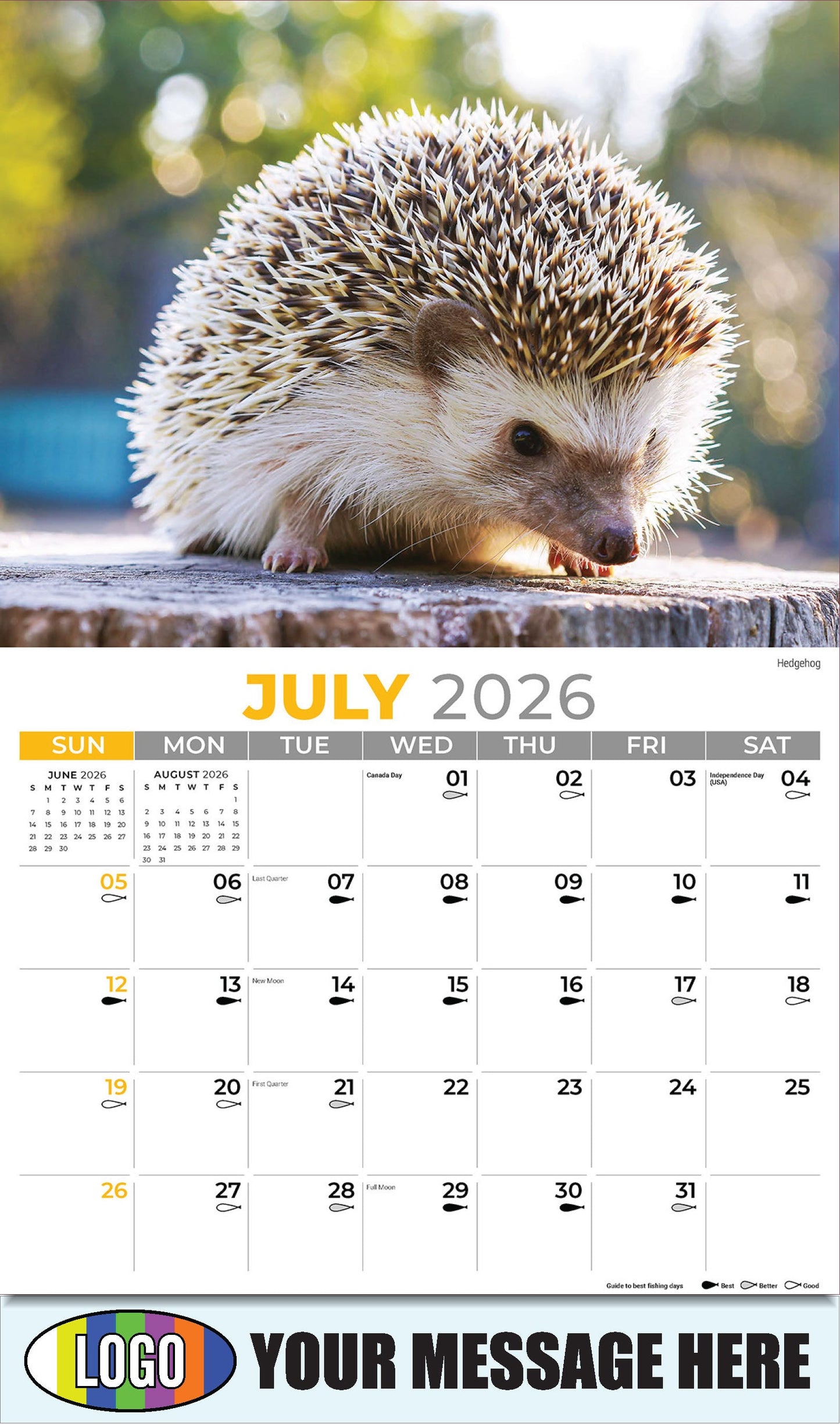 2026 Business Promo Calendar - North American Wildlife - Hedgehog - July