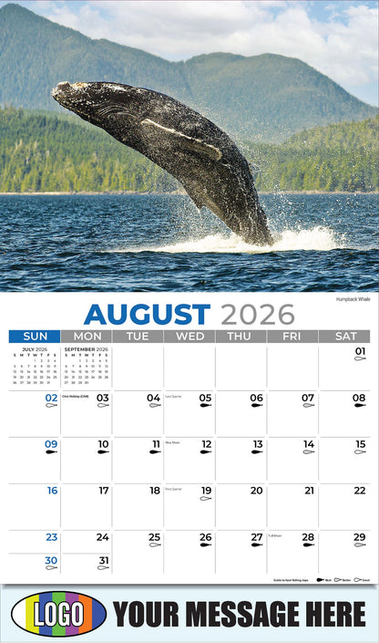 2026 Business Promo Calendar - North American Wildlife - Humpback Whale - August
